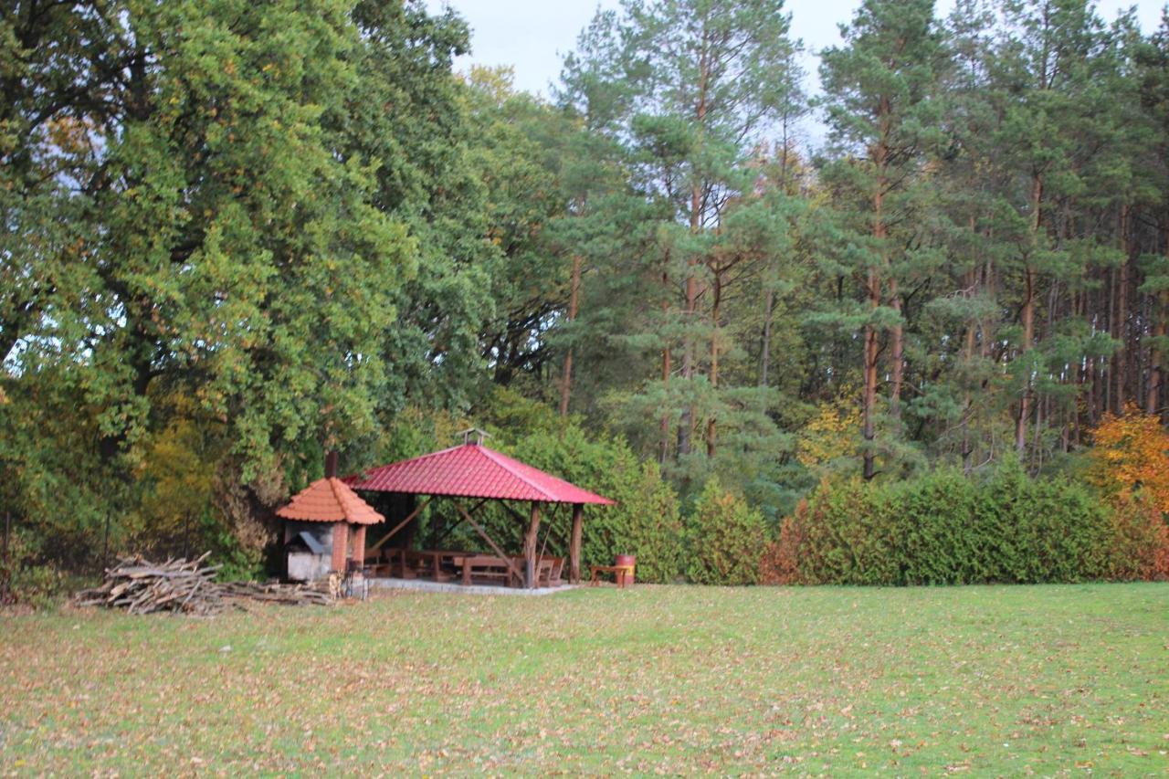 Gospodarstwo Agroturystyczne Agroletnica Świdnica Екстериор снимка