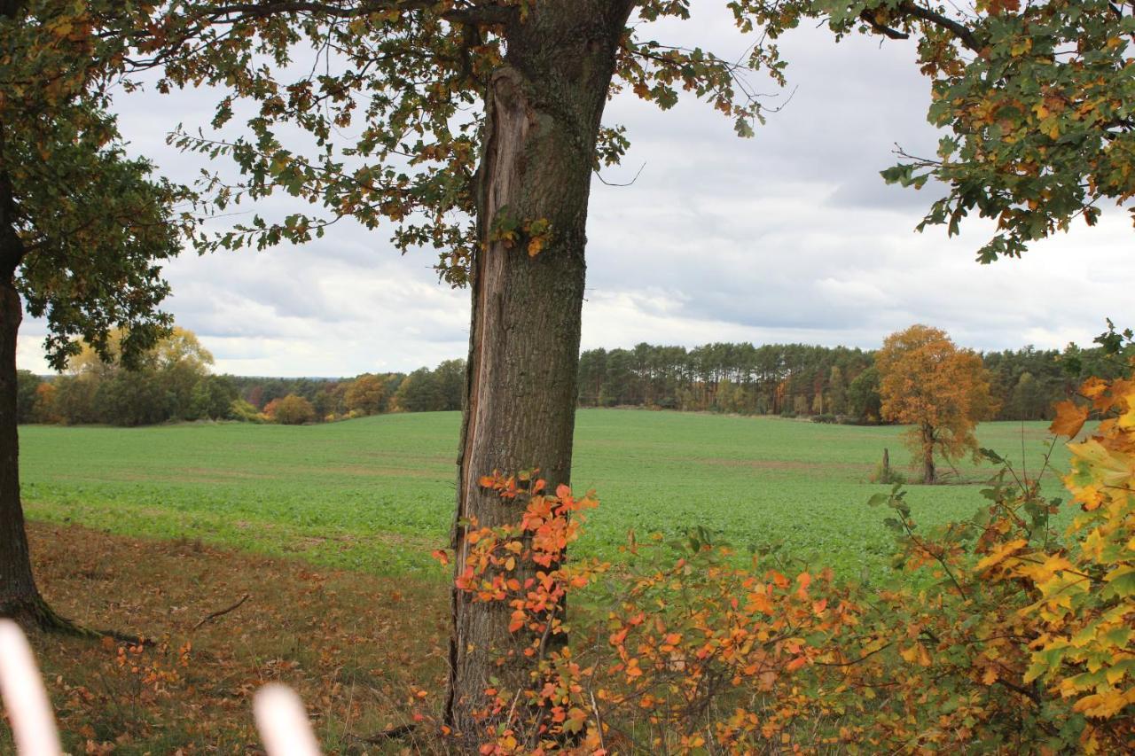 Gospodarstwo Agroturystyczne Agroletnica Świdnica Екстериор снимка