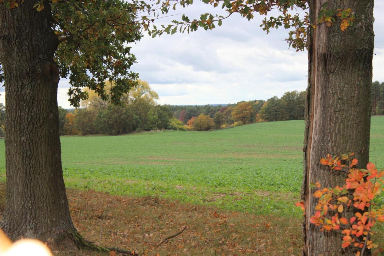 Gospodarstwo Agroturystyczne Agroletnica Świdnica Екстериор снимка