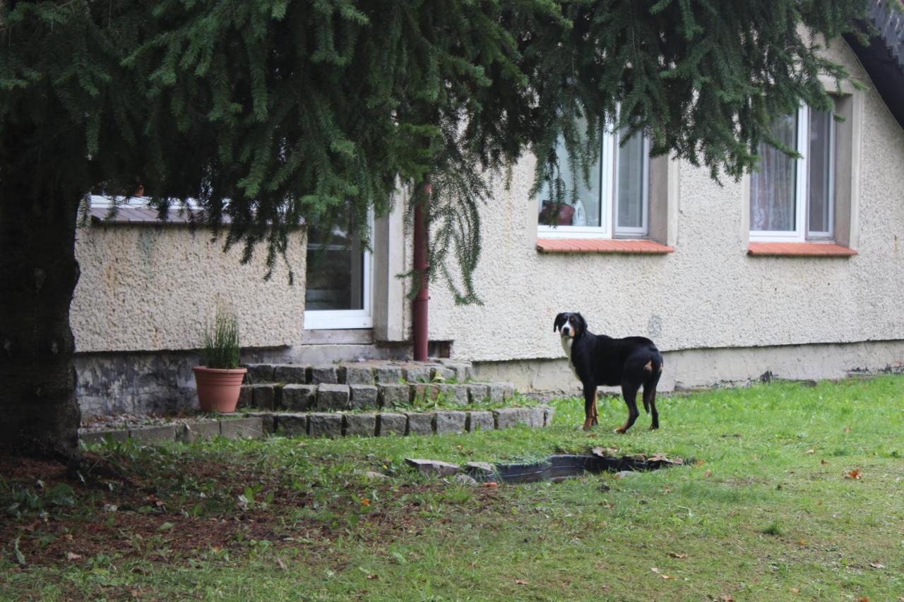 Gospodarstwo Agroturystyczne Agroletnica Świdnica Екстериор снимка