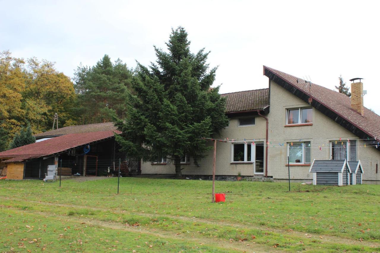 Gospodarstwo Agroturystyczne Agroletnica Świdnica Екстериор снимка