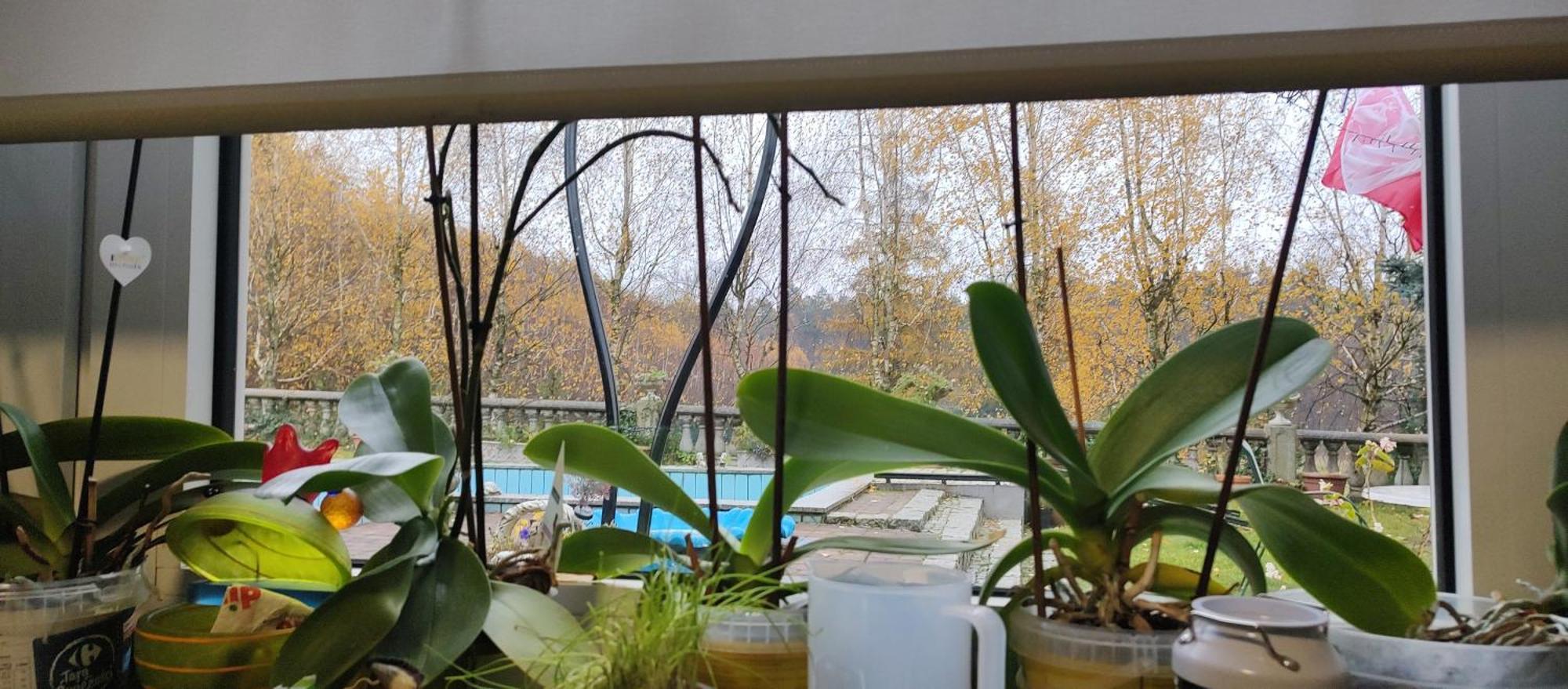 Gospodarstwo Agroturystyczne Agroletnica Świdnica Екстериор снимка