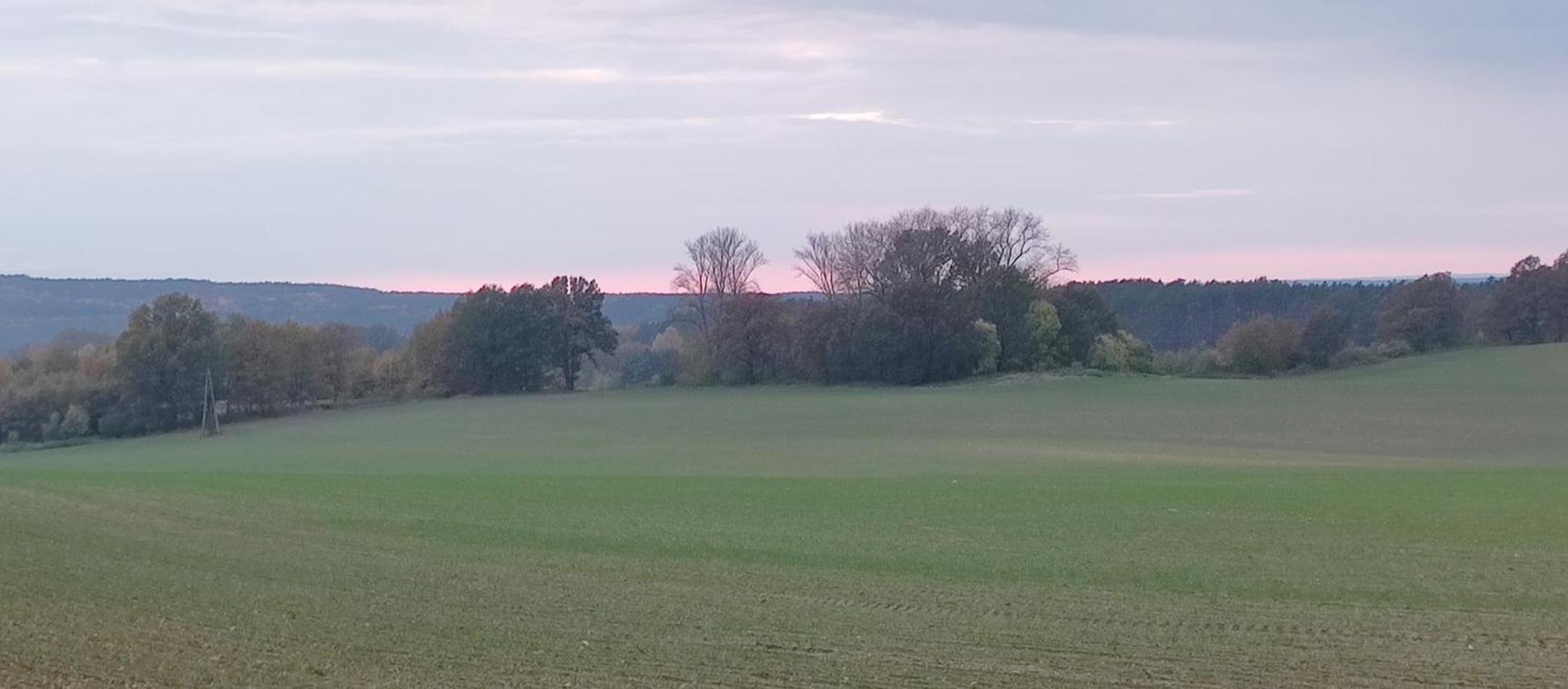 Gospodarstwo Agroturystyczne Agroletnica Świdnica Екстериор снимка